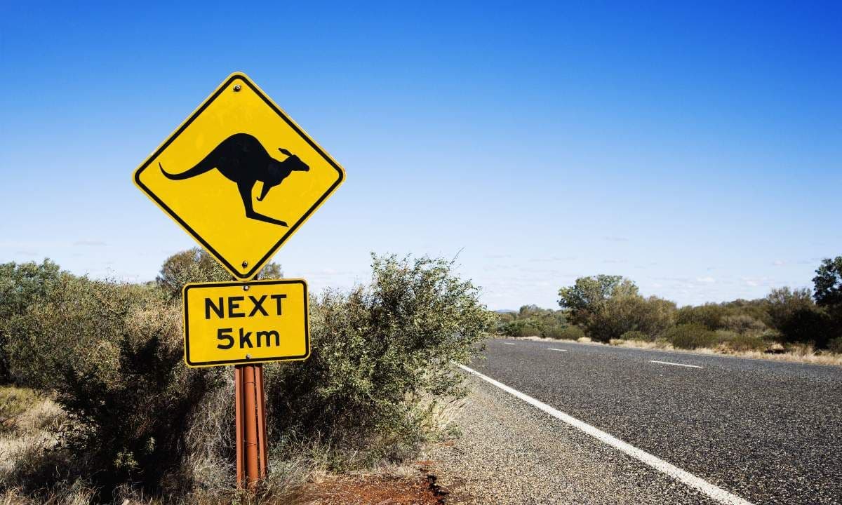 Drive in Australia with UAE License and Conversion Process